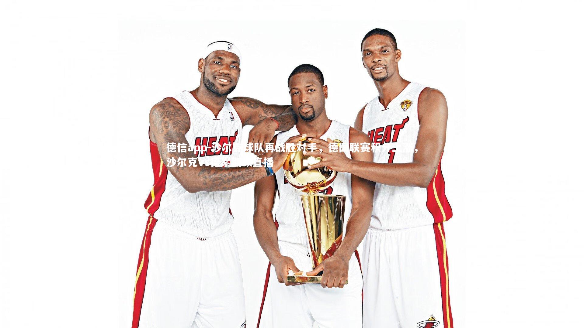 沙尔克球队再战胜对手，德国联赛积分上涨，沙尔克vs德累斯顿直播